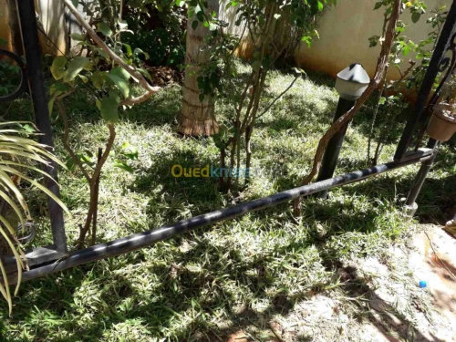 تهيئة المساحات الخضراء