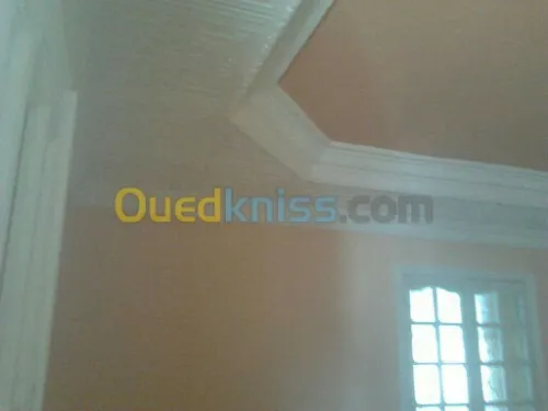 Vente Villa Aïn Témouchent Ain kihal