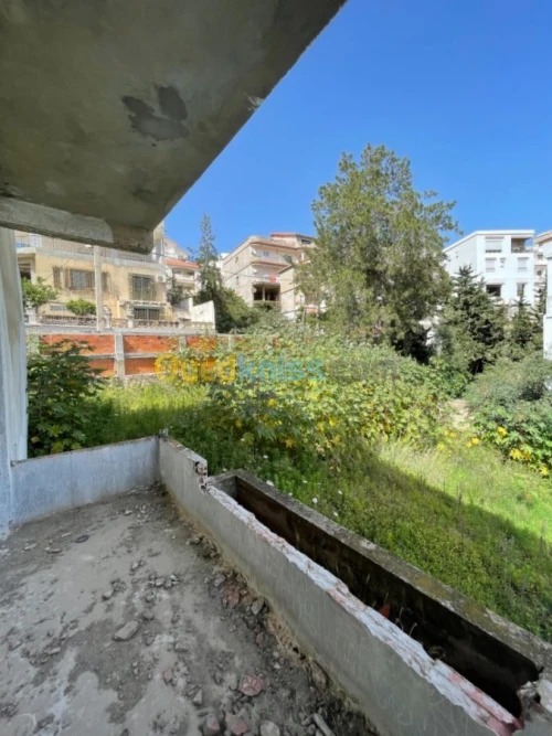 Vente Carcasse Annaba Annaba