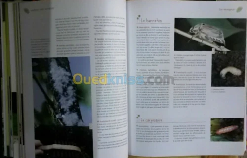 Encyclopédie pratique du jardinage 