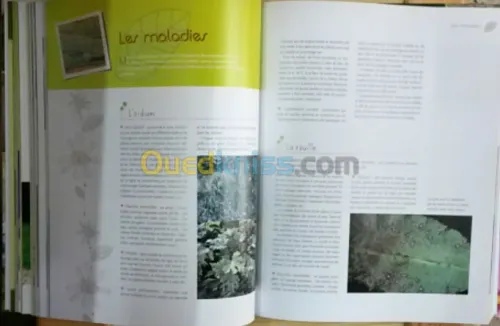 Encyclopédie pratique du jardinage 