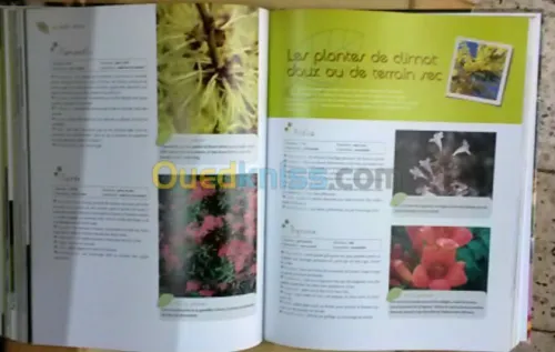 Encyclopédie pratique du jardinage 