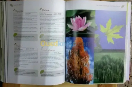 Encyclopédie pratique du jardinage 