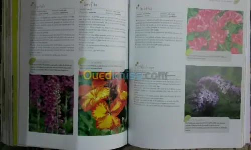 Encyclopédie pratique du jardinage 
