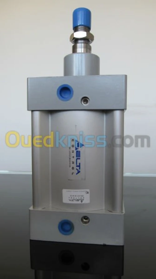 vérin pneumatique fab. DELTA CONTROL
