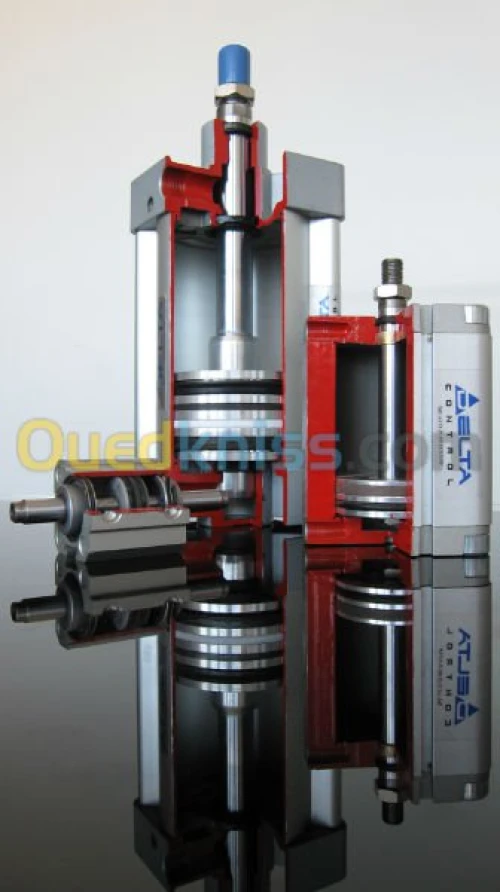 vérin pneumatique fab. DELTA CONTROL