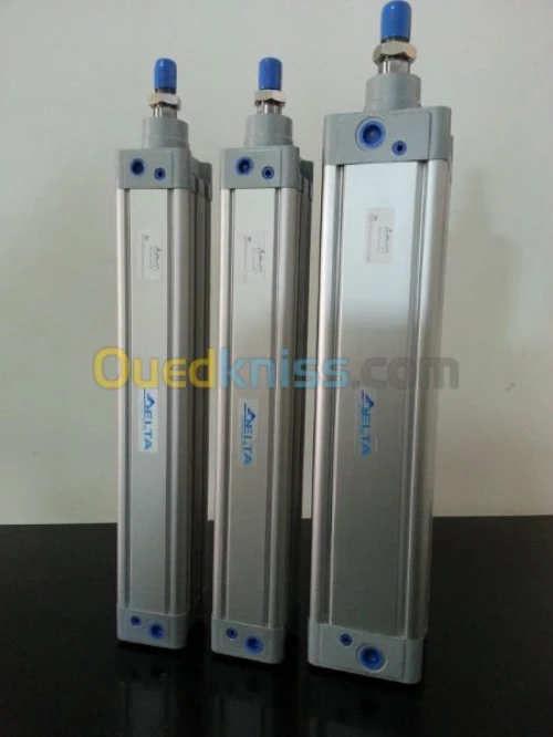 vérin pneumatique fab. DELTA CONTROL