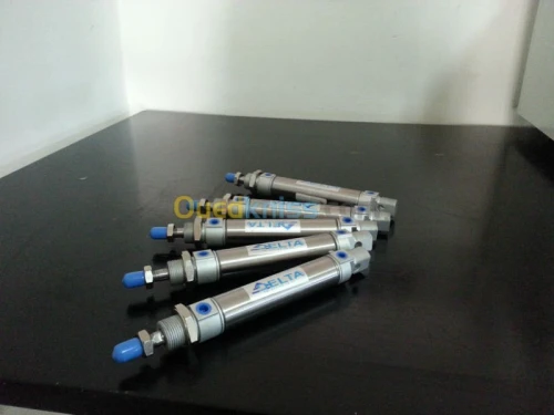 vérin pneumatique fab. DELTA CONTROL