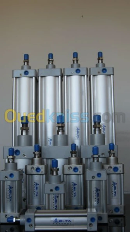 vérin pneumatique fab. DELTA CONTROL