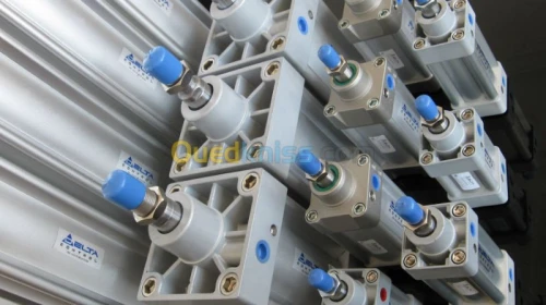 vérin pneumatique fab. DELTA CONTROL