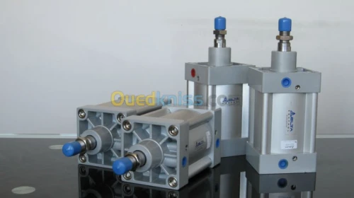 vérin pneumatique fab. DELTA CONTROL