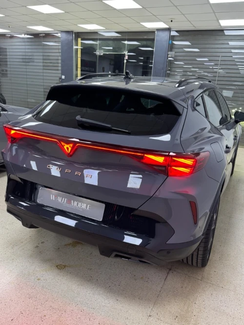 Seat Cubra 2026 Formentor