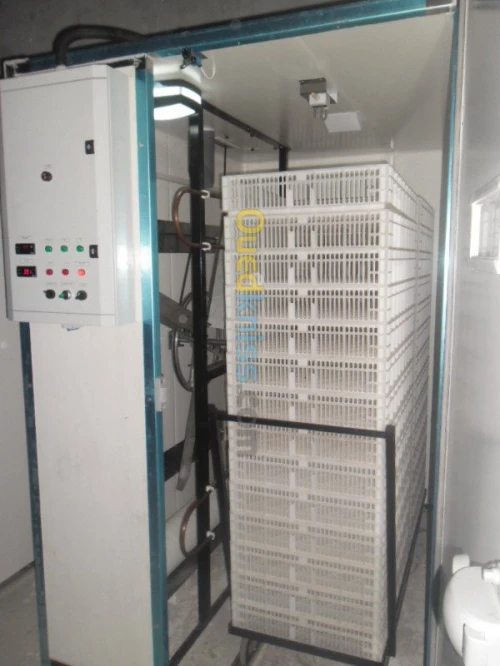 COUVOIR     ( INCUBATEUR/ECLOSOIR)