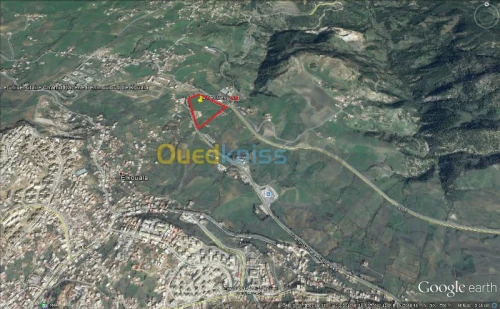 Vente Terrain Medea Medea