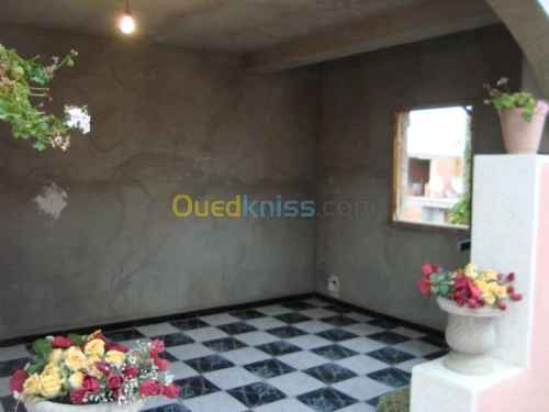 Vente Villa Alger Les eucalyptus