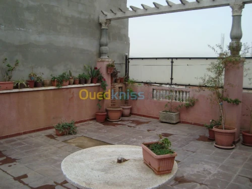 Vente Villa Alger Les eucalyptus