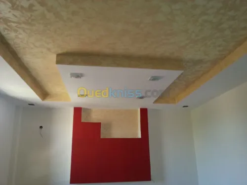 Faut-plafond mur de platre,BA13,PVC