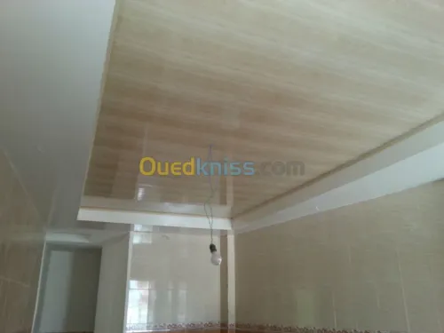 Faut-plafond mur de platre,BA13,PVC