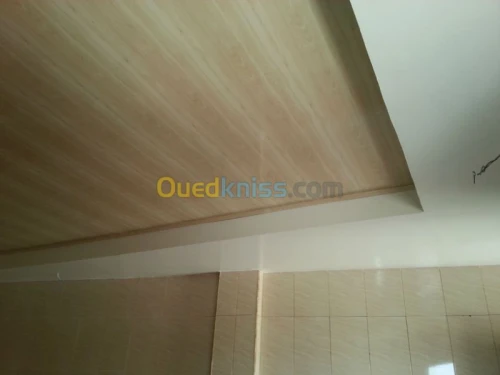 Faut-plafond mur de platre,BA13,PVC