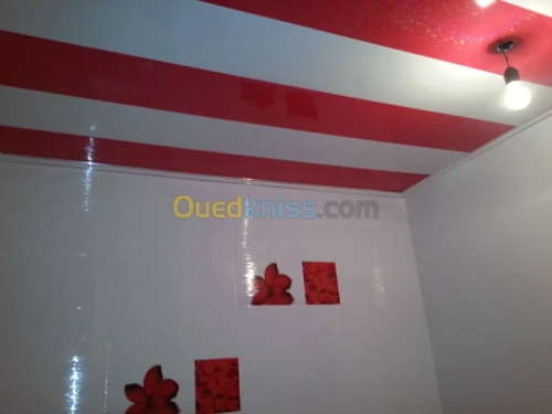 Faut-plafond mur de platre,BA13,PVC