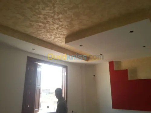 Faut-plafond mur de platre,BA13,PVC