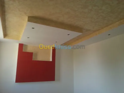 Faut-plafond mur de platre,BA13,PVC