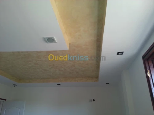 Faut-plafond mur de platre,BA13,PVC