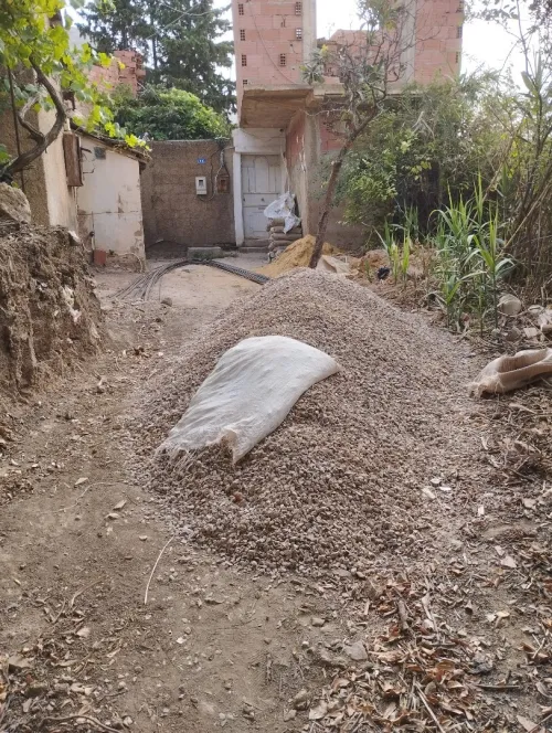 Nettoyage maison/terrasse/jardin 