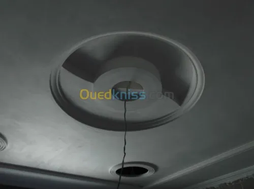 conception f.plafond en platre 