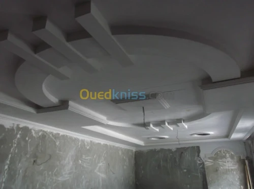 conception f.plafond en platre 