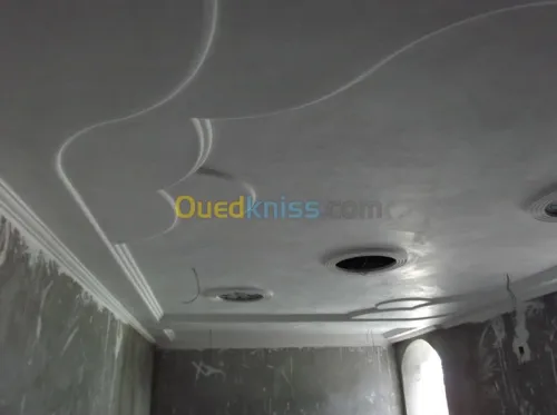 conception f.plafond en platre 