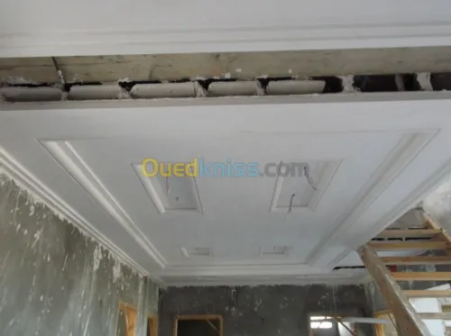 conception f.plafond en platre 