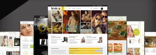 Création/Hébergement de sites Web