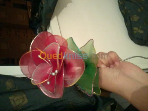 les assiettes .les fleurs  