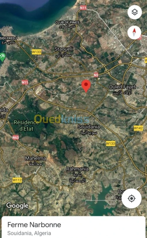 Vente Terrain Alger Souidania