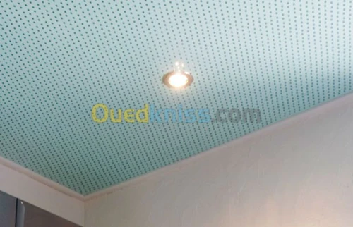 faux plafond pvc