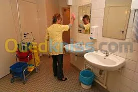 netoyage general interieurs exteriers