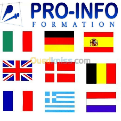 Cours: ANGLAIS, FRANÇAIS, ESPAGNOL ITALIEN et ALLEMAND