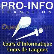 Formation: INFOGRAPHISTE PROFESSIONNEL