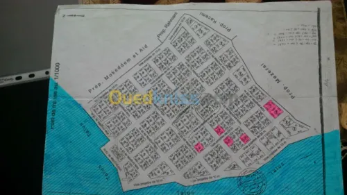 Vente Terrain Tlemcen Honaine