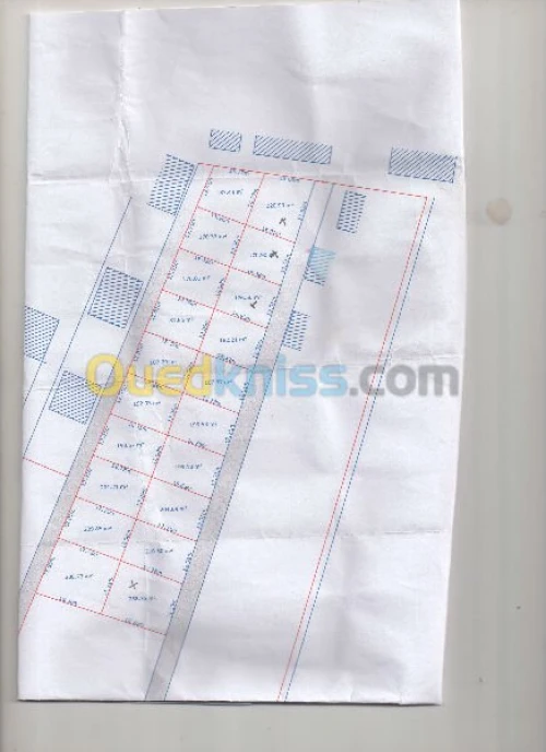 Vente Terrain Alger Ouled chebel