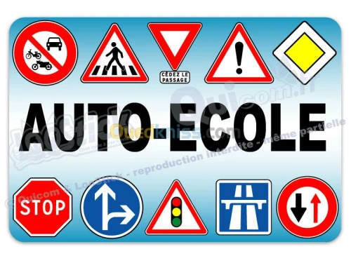 MONTAGE DOUBLE COMONDE auto école 
