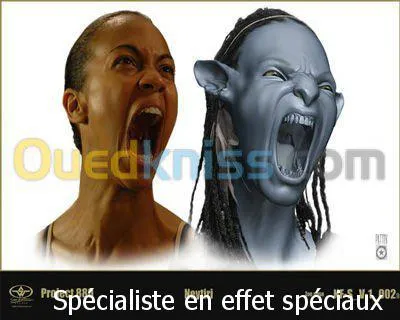  formations audiovisuel et cinéma