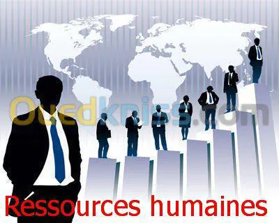  formations audiovisuel et cinéma