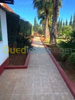 Location Villa Alger Bir mourad rais