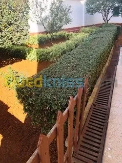 Location Villa Alger Bir mourad rais