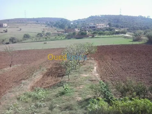 Location Terrain Boumerdes Boudouaou