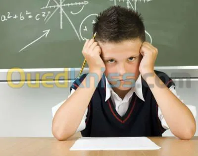 Cours de soutien scolaire