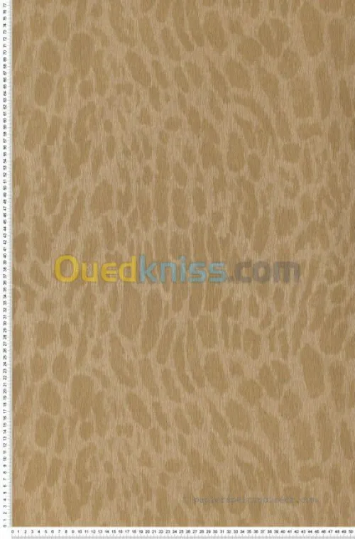 peinture decoratif de tous genre 