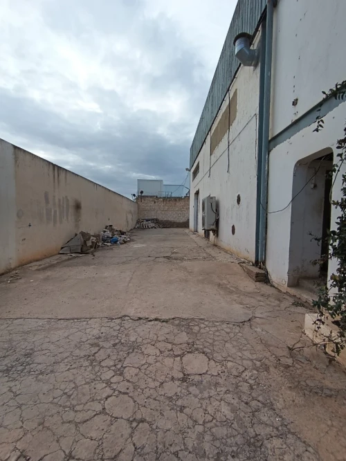 Location Hangar Oran Es senia